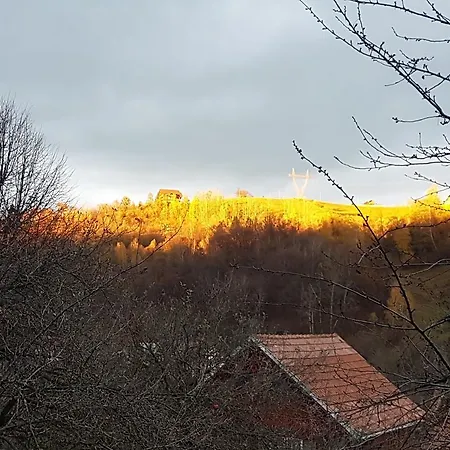 Montana Jobes Bran (Brasov)